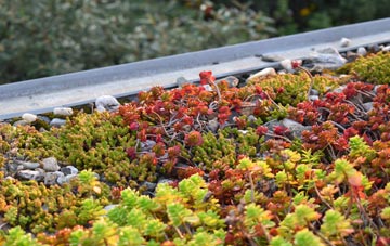 the cost of Much Dewchurch green roof installation