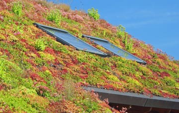 Much Dewchurch living roof systems